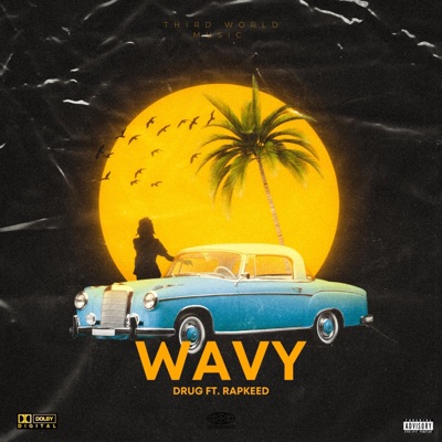 Wavy (feat. Rapkeed) - Single