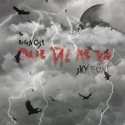 Qué tal me va (feat. Sky Hunt) - Single