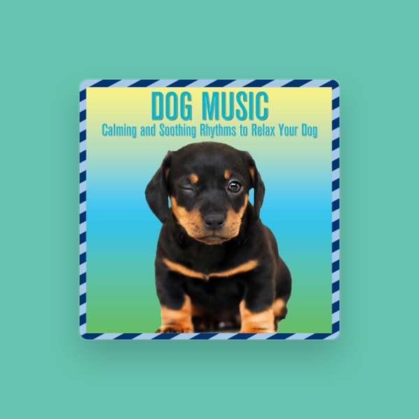 Dog Music's avatar