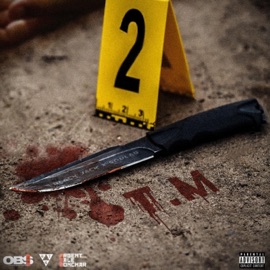 T.M (feat. Goulag) Black Jack OBS