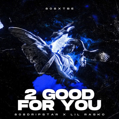 2 Good For You (feat. Lil Rasko) - Single