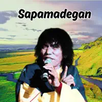 Sapamadegan — Darso