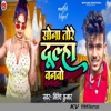 Sona Tore Dulha Banabo - Single