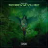 Tomorrow We Will Meet