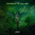 Tomorrow We Will Meet