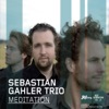 Meditation (feat. Sebastian Gahler, Nico Brandenburg & René Marx)