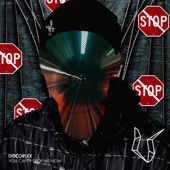 You Can't Stop Me Now (Extended Mix) artwork