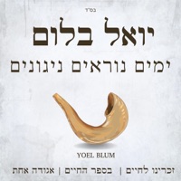 Yomim Noraim Nigunim (feat. Yoel Blum) - Single - MRM All Stars