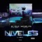 Niveles (feat. Michelito estilo) - Elkilolomapesao lyrics