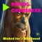 Dildo - Analog Chewbakka lyrics