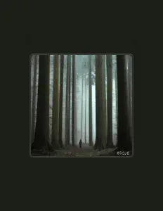 R0gue सुनें, म्यूज़िक वीडियो देखें, बायो पढ़ें, दौरे की तारीखें और बहुत कुछ देखें!