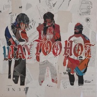 Way Too Hot - Single - The Crown, Donovan Bogney, Kawasaki & P.P.