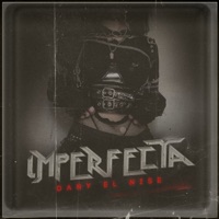 Imperfecta - Single - Dany El Nise