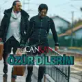 OZUR DILERIM