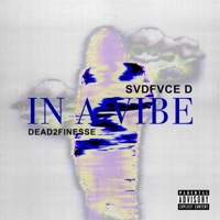 In a Vibe EP - Svdfvce D