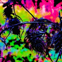 Blood and Orange Juice (feat. J Isom & Plaptab) - Single - Prof.Kit