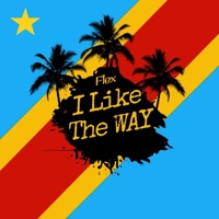 I Like The Way - Single - Flex