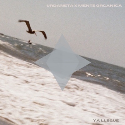 Ya Llegué - Single