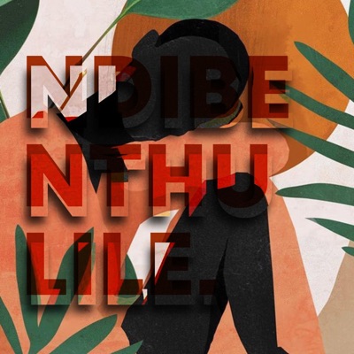 Ndibenthulile (feat. Mtameni) - Single