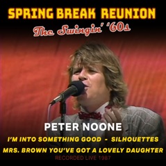 Spring Break Reunion: The Swingin' '60s - Single