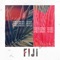 Fiji - Anika Nilles lyrics