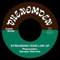 Streunendi Hünd Link up (Remixes) - Single - Phenomden, Danase & Sterneis