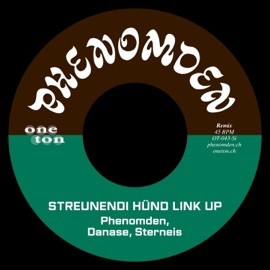 Streunendi Hünd Link up (Remix) Phenomden, Danase & Sterneis