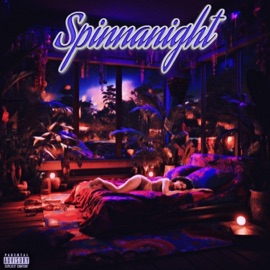 Spinnanight Prince Will