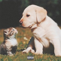 catz n dawgz (feat. Ken the Misfit) - Single - Willie Hyn