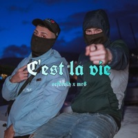 C'est la vie (feat. Morocho) - Single - Seferolh