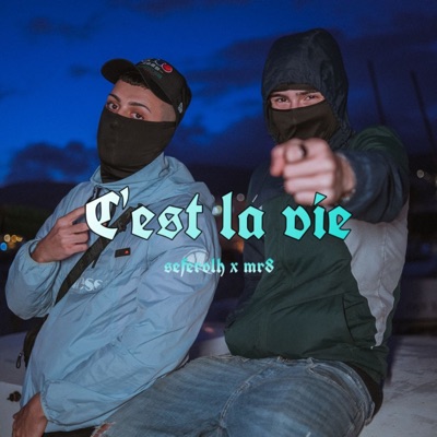 C'est la vie (feat. Morocho) - Single