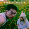 holy moly - Single