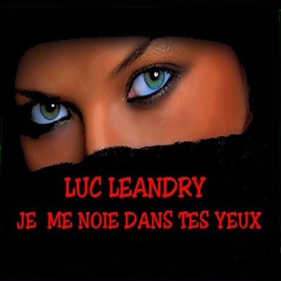 Je me noie dans tes yeux - Luc Leandry | Shazam