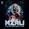 Mzali (feat. Tee Jay, Cheez Beezy & Le Sax) - Single