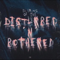 Diaries of the Disturbed N Bothered - EP - Damien Hendrix
