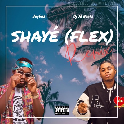 Shayé (Flex) [Dj Yk Mule Remix] - Single