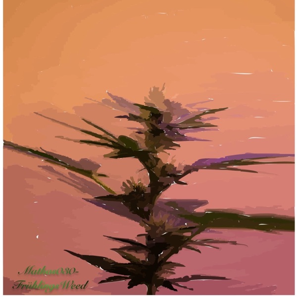 Frühlingsweed - Single