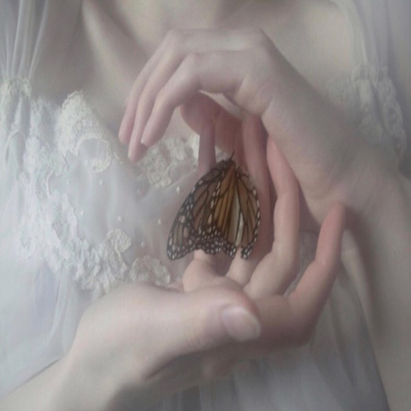 Heyoka Empaths