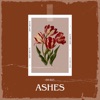 Ashes - Single