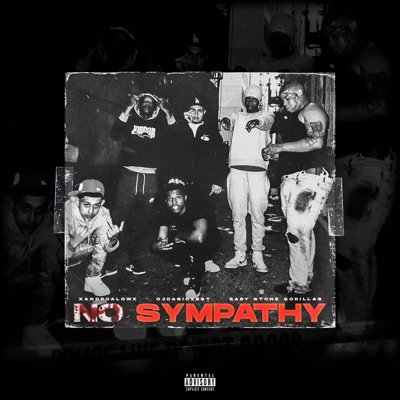 No Sympathy (feat. OjDaSickest & Baby Stone Gorillas) - Single
