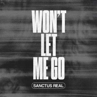 Sanctus Real Rebel