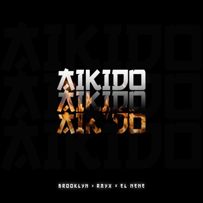 Aikido - Single