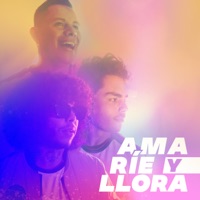 Ama, Ríe y Llora - Single - Jhonatan Luna, Pedro Vera & Ukumari MC