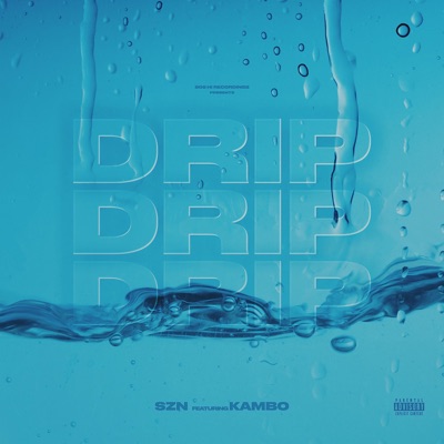 Drip (feat. Kambo) - Single