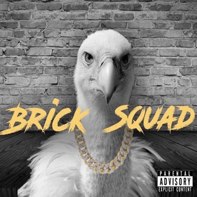Brick Squad - Single