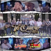 Te Quiero Tanto