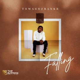 Falling Tswaggz Banks