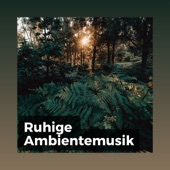 Ruhige Ambientemusik artwork