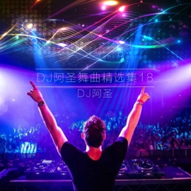 把爱给了你(DJ Version) DJ阿圣 & 陈玉建