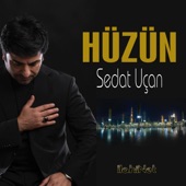 Hüzün artwork